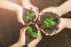 Is Cubic Zirconia Jewelry Good for the Environment? Why or Why Not?