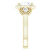 Cubic Zirconia Engagement Ring- The Carina Mixe (Customizable 3x Halo-Enhanced 3-stone Style with Princess/Square Cut Center and Round Cut Accents)