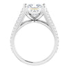 Cubic Zirconia Engagement Ring- The Addison (Customizable Cathedral-raised Princess/Square Cut Center with Exquisite Accented Split-band)