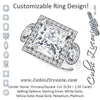 Cubic Zirconia Engagement Ring- The Carina Mixe (Customizable 3x Halo-Enhanced 3-stone Style with Princess/Square Cut Center and Round Cut Accents)